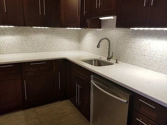 Kitchen Closer view - Quartz counter top, dishwasher