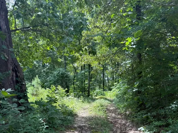 324 County Road 426, Rector, AR 72461