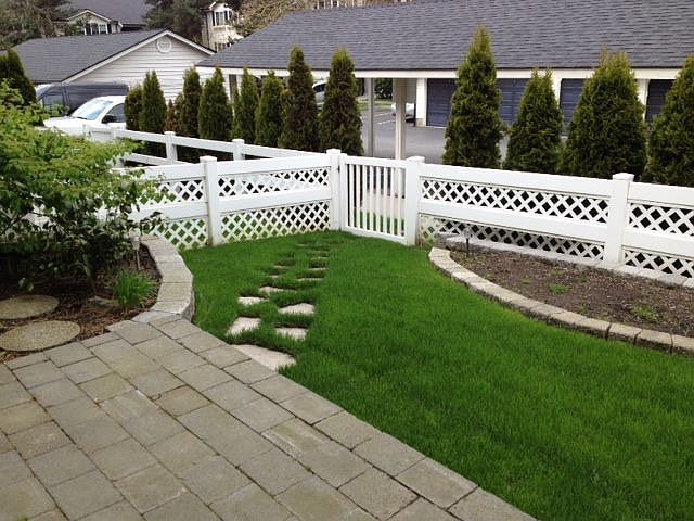Fenced back yard area