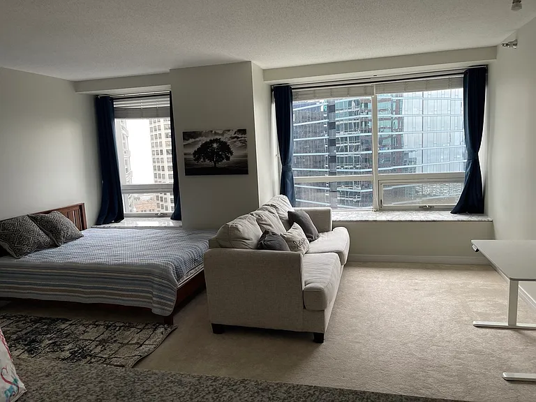 512 N McClurg Ct #3002 — Photo 10