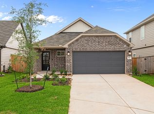 9811 Robard Ridge Ct, Montgomery, TX 77316