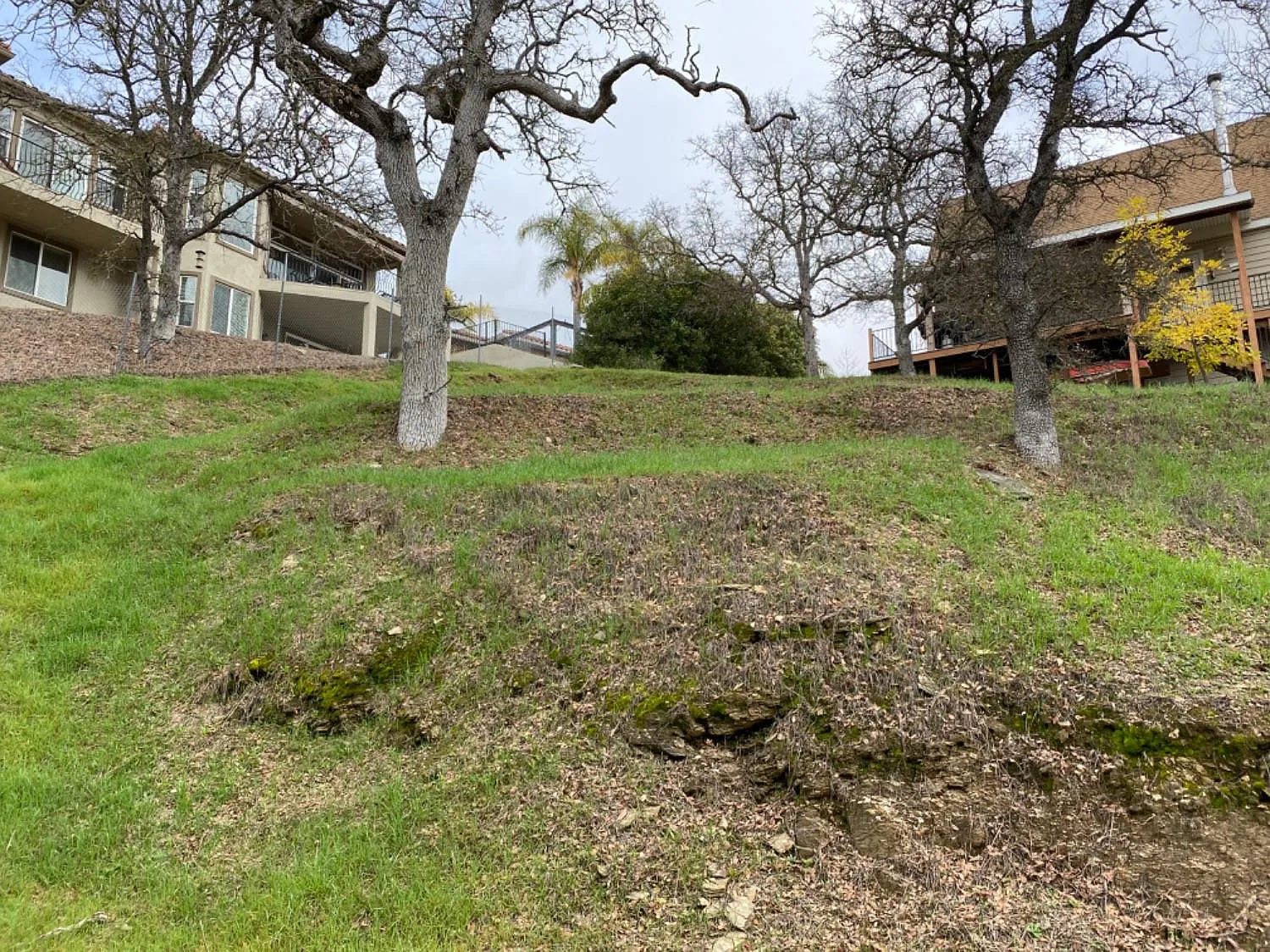 282 Thomson Ln photo 1