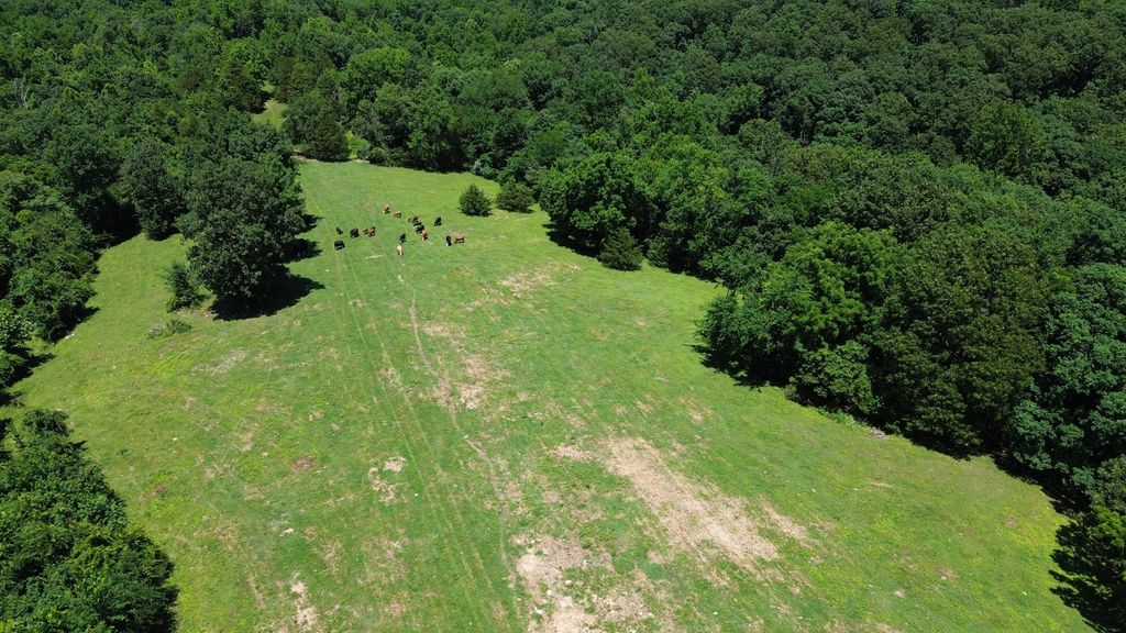 513 Stone Road, South West City, MO - View 6