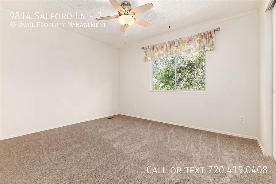 1 bed, $925 — Photo 2