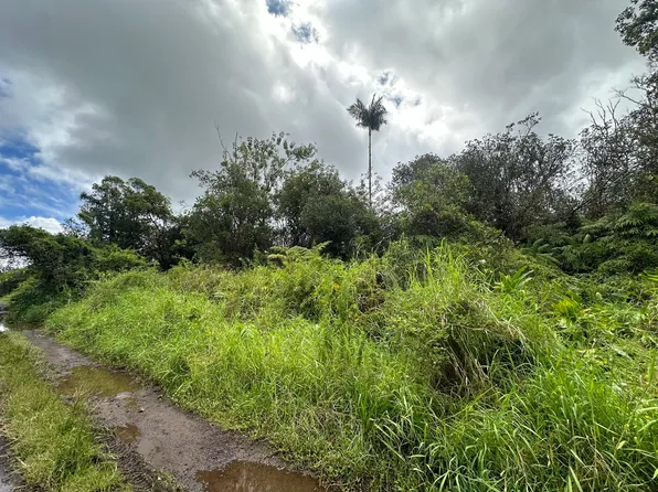 Waikiki St Lot 10, Mountain View, HI 96771