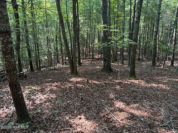 5th image of 919 Panther Top Road LOT 17