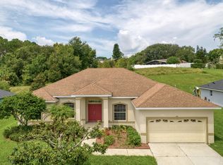 12007 Willow Grove Ln, Clermont, FL 34711