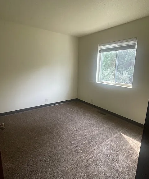 Willow Springs Apartments — Photo 36