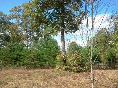 3rd image of 241 McFarland Ln