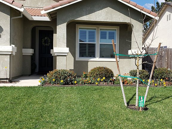 3rd image of 931 Rushmore Dr