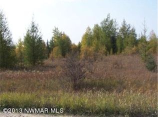 Bankton Rd, Baudette, MN 56623