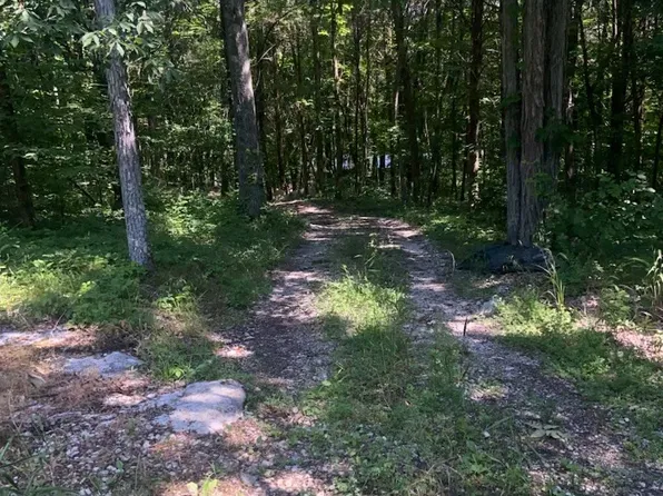 60 Switchboard Rd, Brush Creek, TN 38547