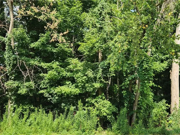 Boston State Rd #7, Boston, NY 14025