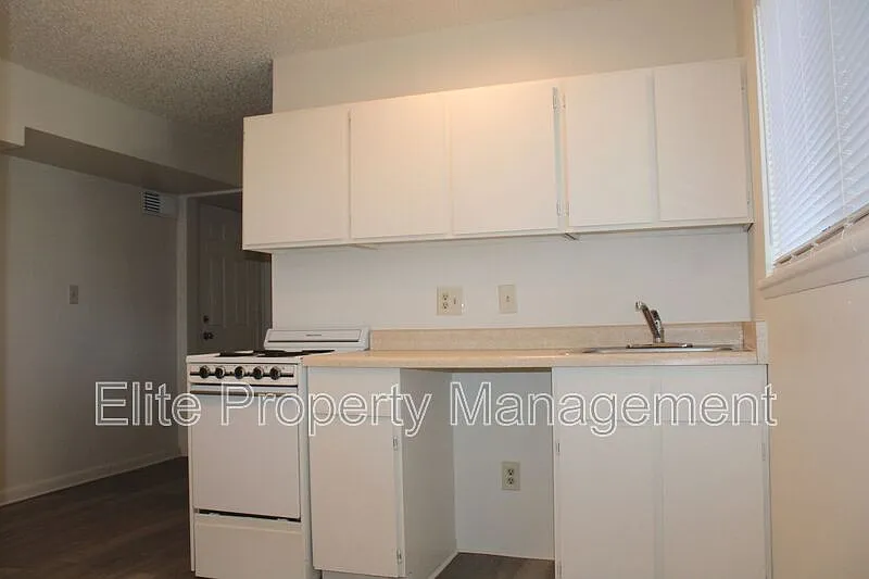 Studio, 1.0 bath, 225 sqft, $695 — Photo 4