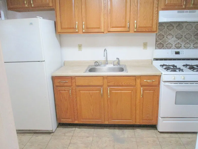 1 bed, $750 — Photo 4