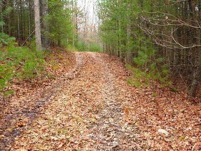 3702 Moncove Lake Rd, Gap Mills, WV, 24941