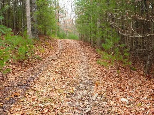 3702 Moncove Lake Rd, Gap Mills, WV 24941