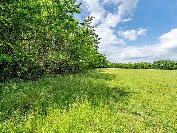 Pasture Grasses