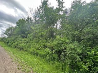 Townline Rd, Angelica, NY 14709