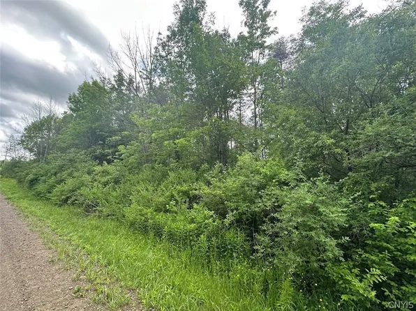 Townline Rd, Angelica, NY 14709