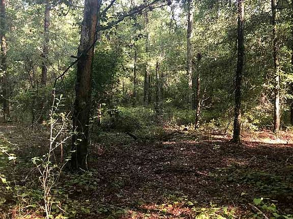 3rd image of Vacant Ne Costmary Way #0