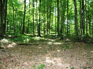 Parcel 9 Dodge Lodge Rd, Richmondville, NY 12149