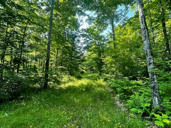 A Off Gay Rd, Lake Linden, MI 49945