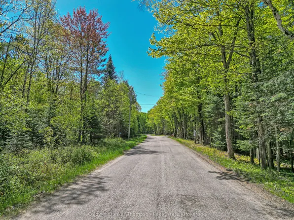 989 N Waseosa Lake Rd, Town Of Huntsville, ON P1H 2J4