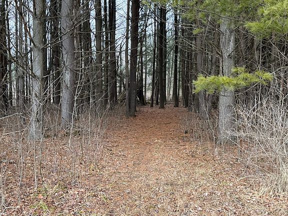 5th image of 5126 Sheldon Rd