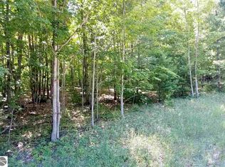 Narrow Gauge Rd, Beulah, MI 49617