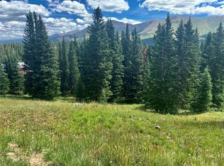 76 Robertson Ln, Breckenridge, CO 80424