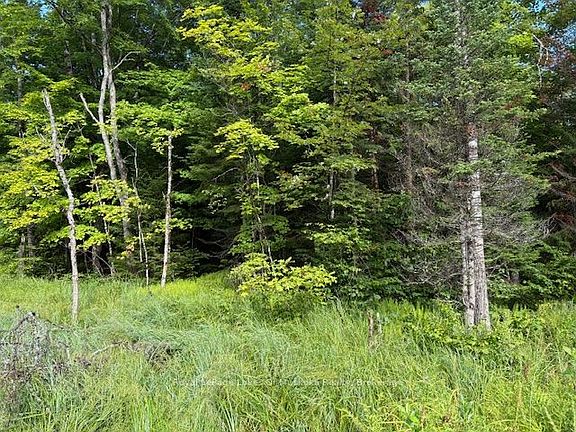 2nd image of 1788 Old Muskoka Rd