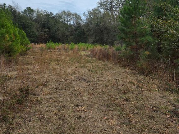 3rd image of 861 Brinson Rd