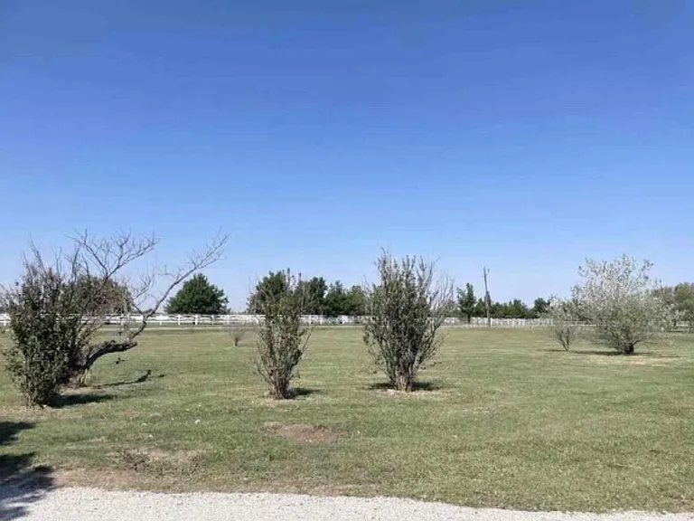 2510 S Banner Rd — Photo 4
