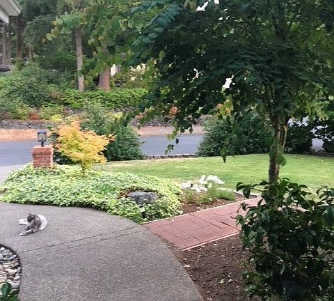 3rd image of 4821 Deer Creek Ln