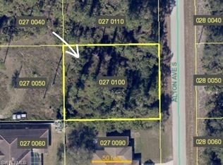 168 Alton Ave, Lehigh Acres, FL 33974