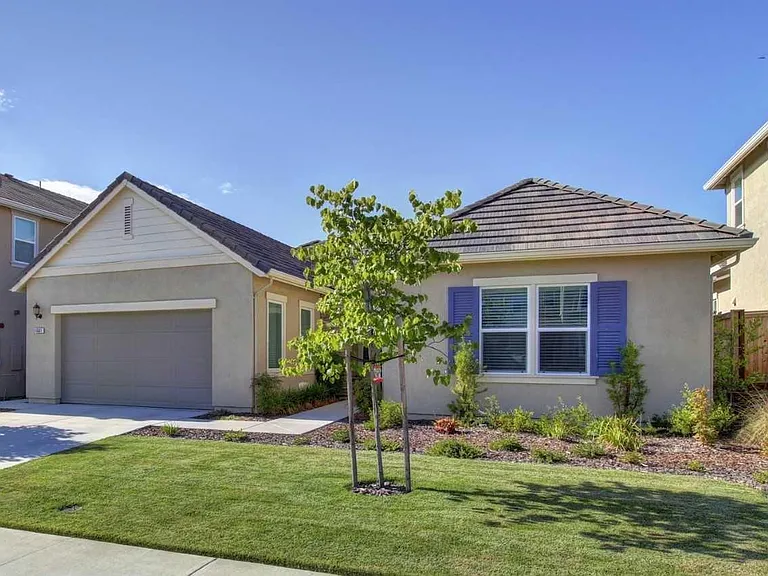 Black Willow St — Photo 1