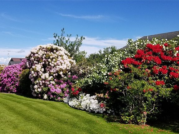 Spring time with the flowers in bloom.