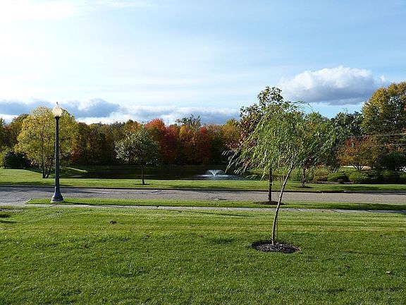 View from driveway in Fall
