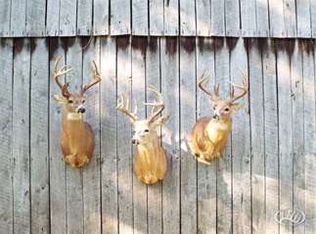 80 Old Dover Rd, Cadiz, KY 42211