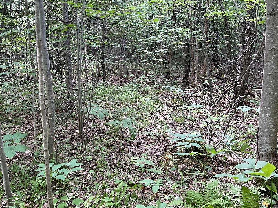 County Line Lake Boat Landing Rd, Bruce Crossing, MI 49912 Zillow