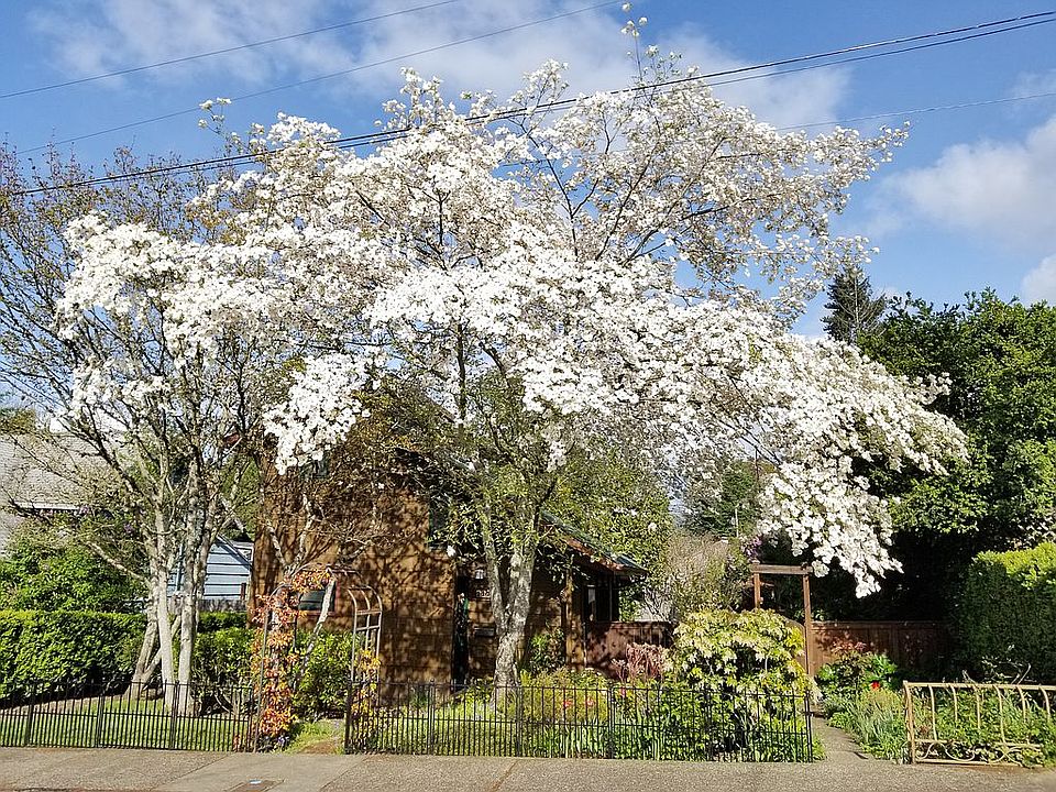 All Season Garden Fun!