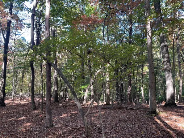 4 Covered Bridge Rd, Blairsville, GA 30512