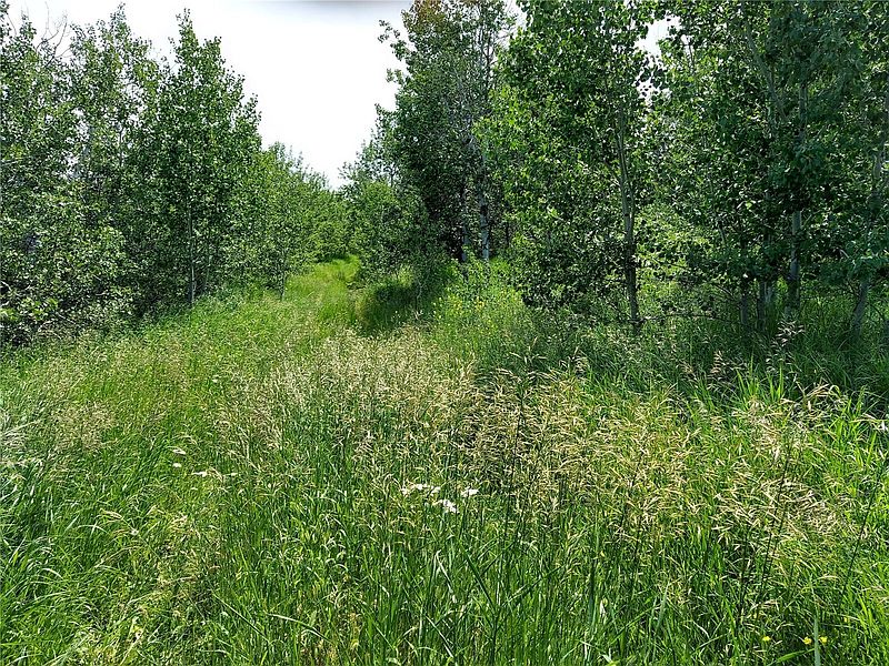 5th image of 0 XX Ellemeham Mountain Road