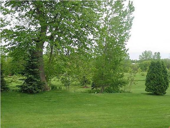 Great Backyard
