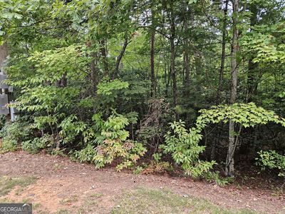 0 Fischer Strasse LOT 20, Helen, GA, 30545