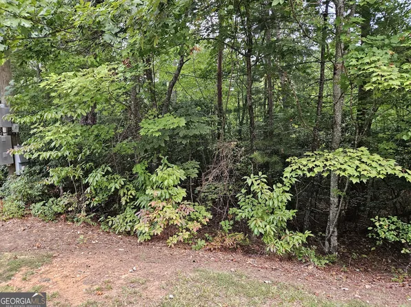 0 Fischer Strasse Lot 20, Helen, GA 30545
