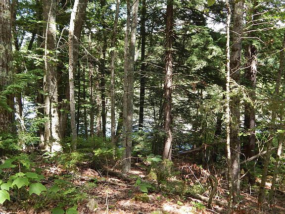 3rd image of Pine Cliff Road