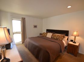 213 Buffalo Dr, Silverthorne, CO