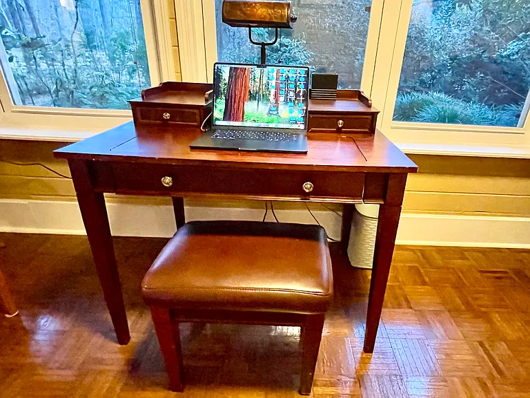 Computer station in the sunroom. USB ports are nearby.